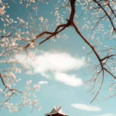 神魔召唤师九游渠道下载